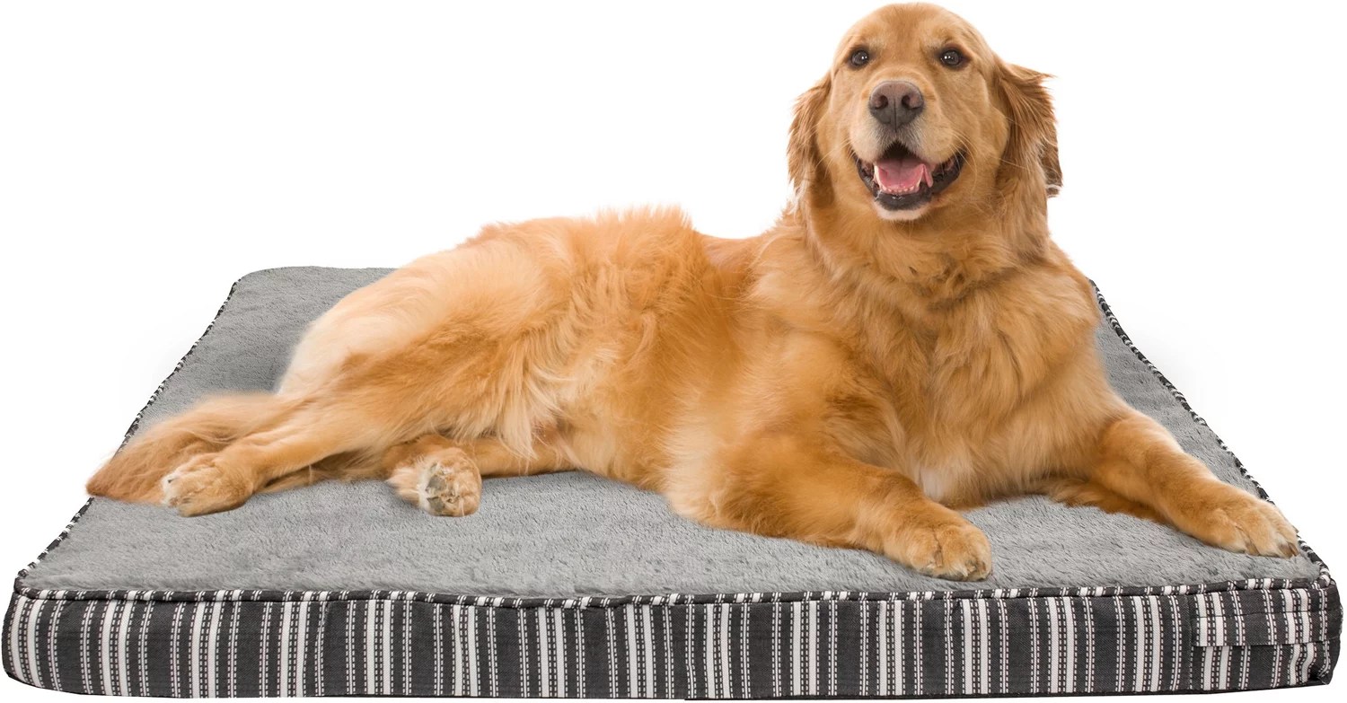 Cozy Pet Orthopedic 27 in x 36 in Pet Bed Academy