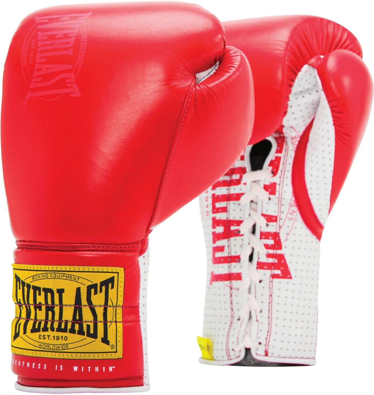 Everlast 1910 Classic Lace Sparring Gloves Academy