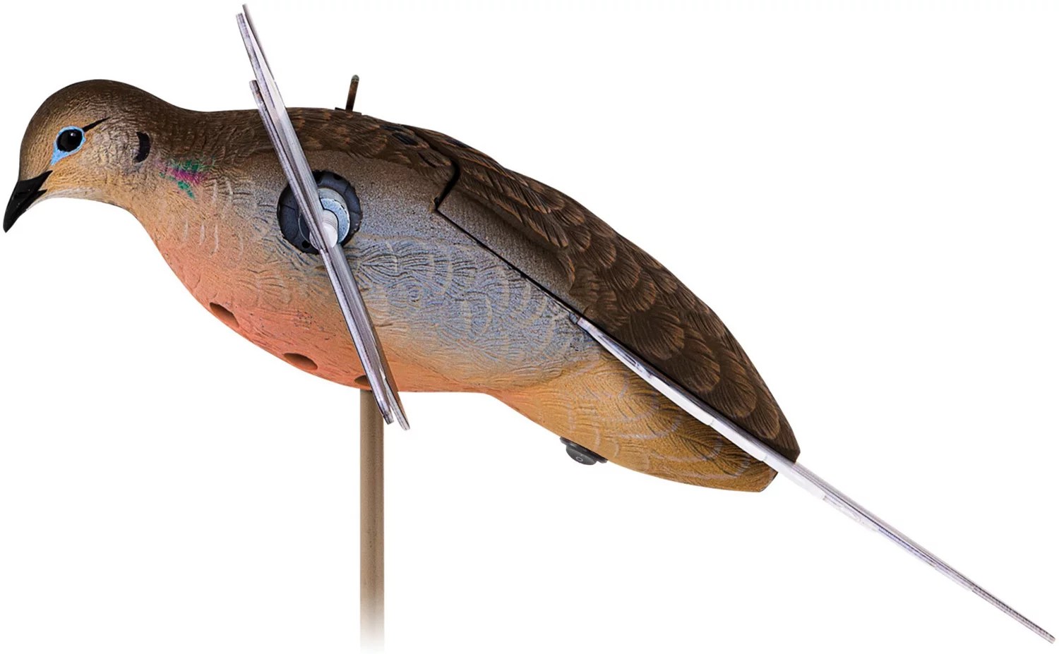 AvianX Powerflight Spinning Wing Dove Decoy Academy