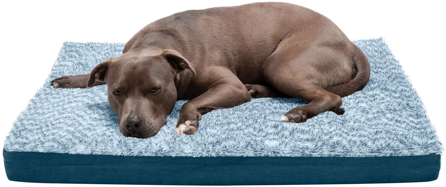 FurHaven Deluxe 2Tone Large Orthopedic Pet Bed Academy