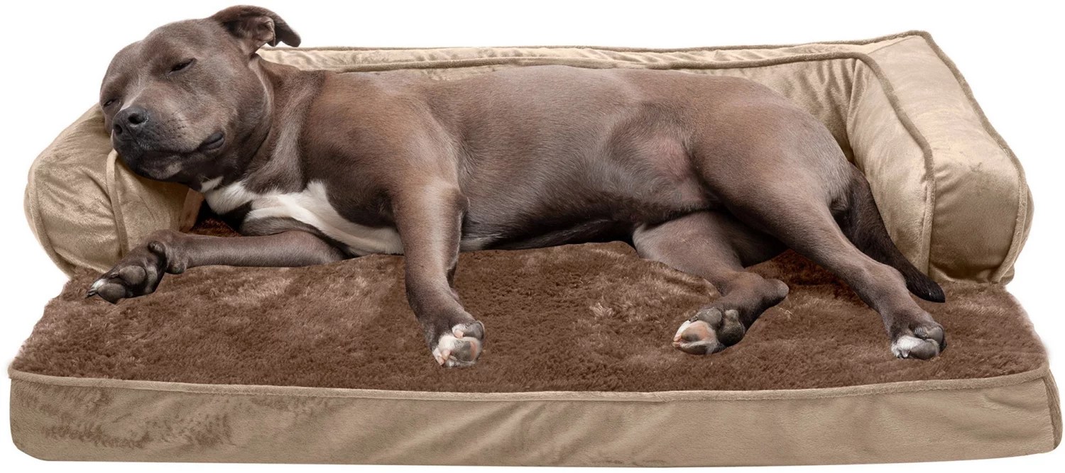FurHaven Plush Velvet Comfy Couch Orthopedic Large Sofa Pet Bed Academy