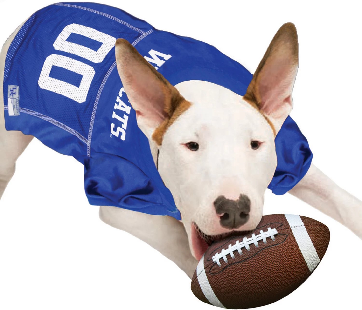 Pets First University of Kentucky Mesh Dog Jersey Academy