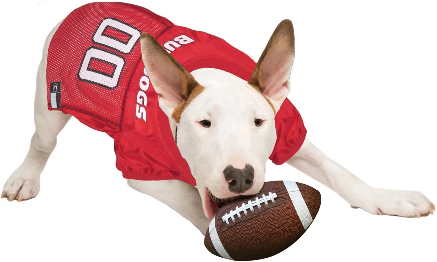 Pets First University of Mesh Dog Jersey Academy