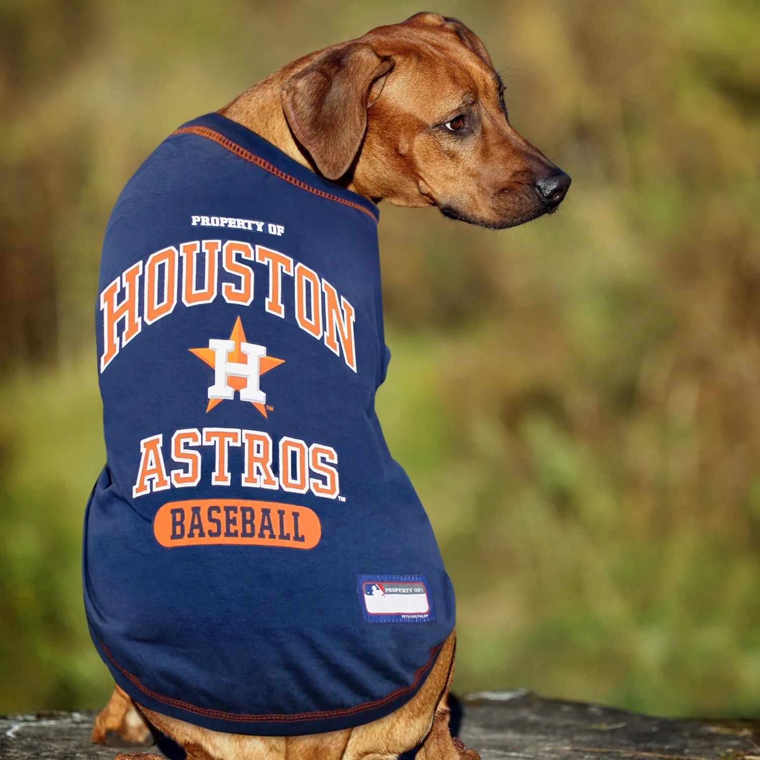 Pets First Houston Astros Dog Tshirt Free Shipping at Academy