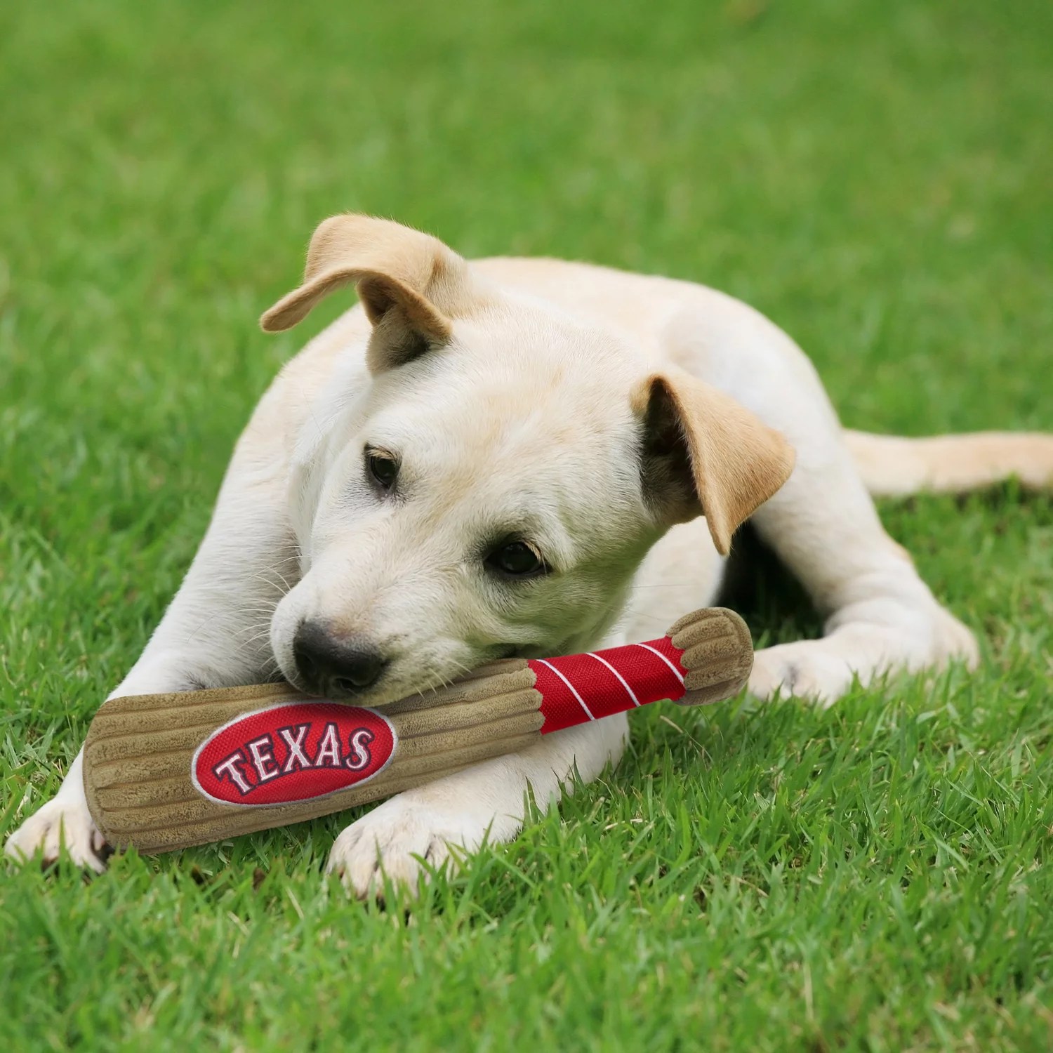 Pets First Texas Rangers Baseball Bat Dog Toy Academy
