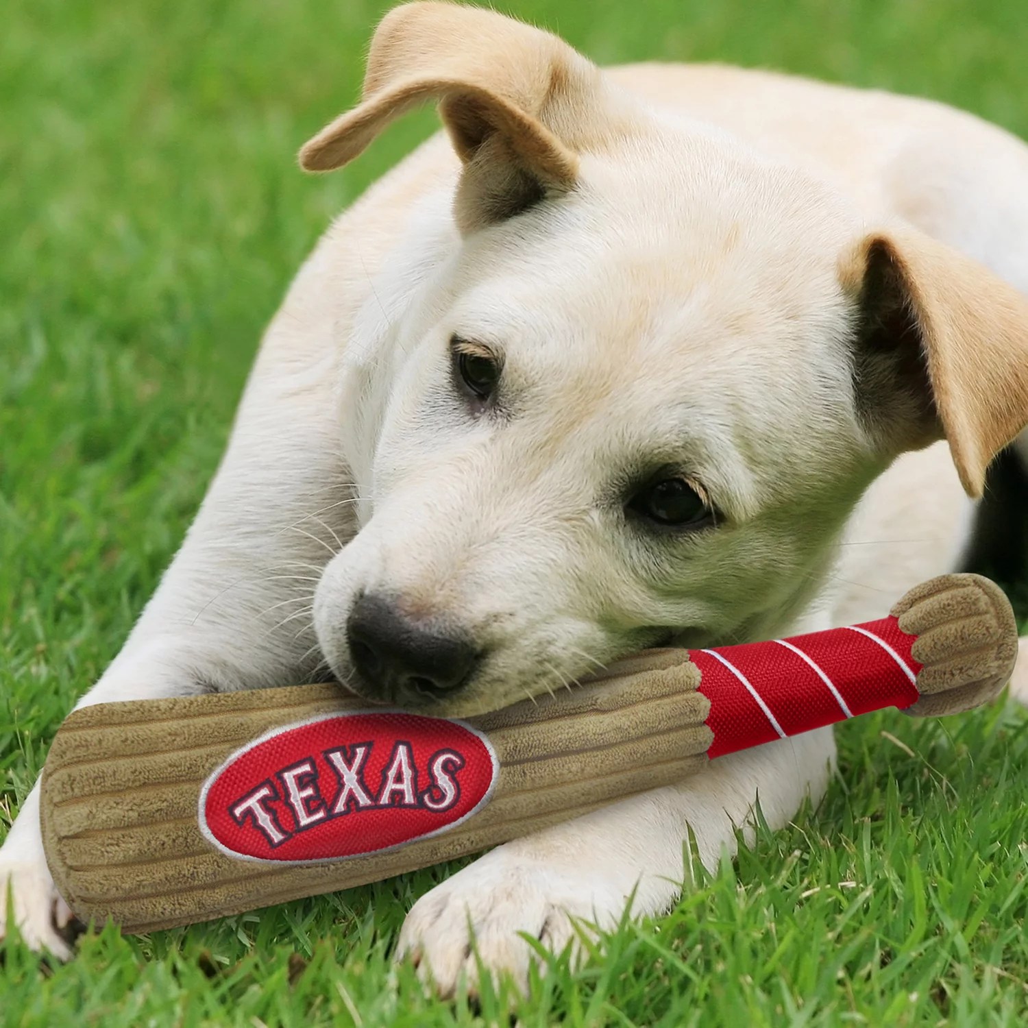 Pets First Texas Rangers Baseball Bat Dog Toy Academy