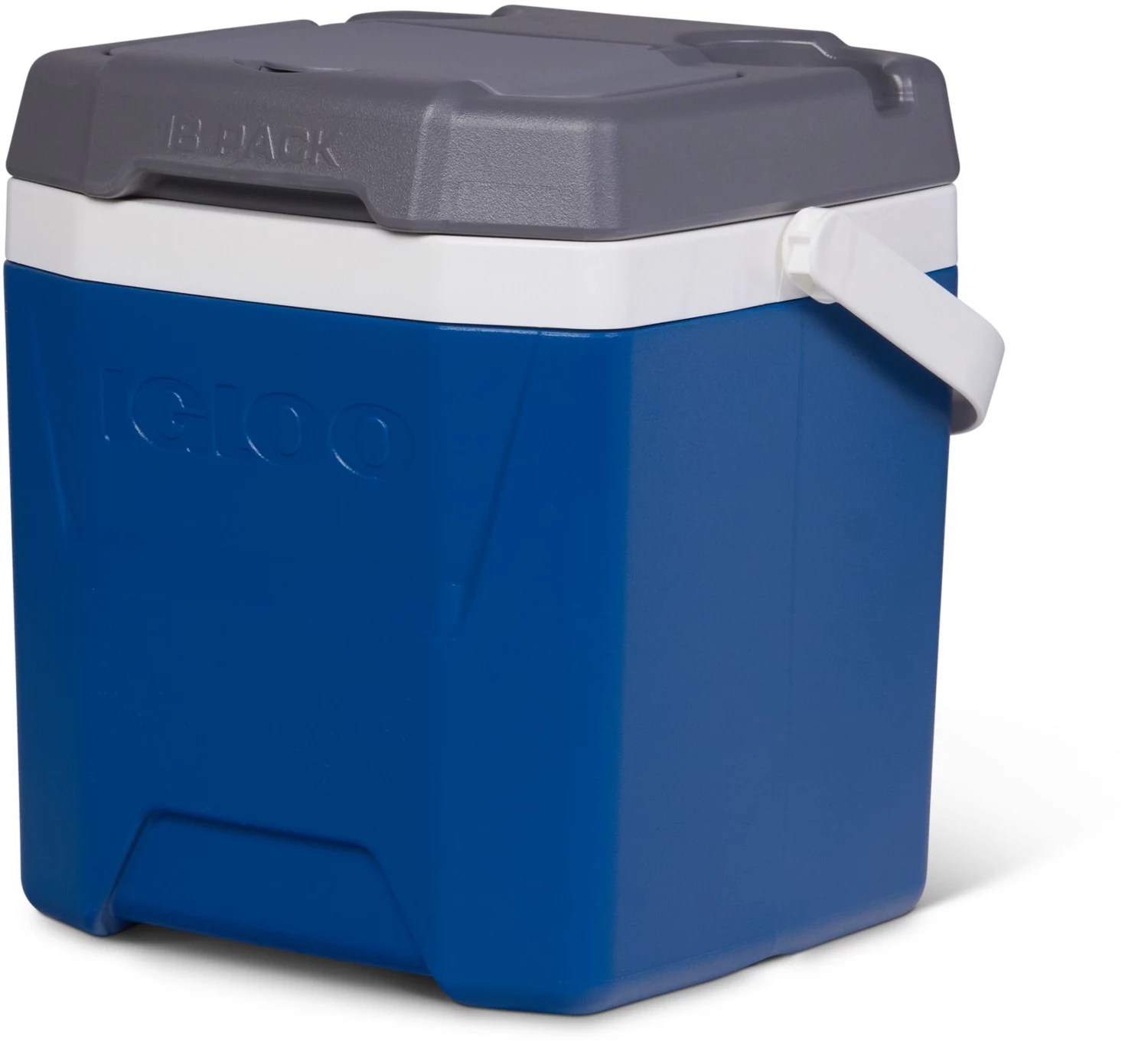 Igloo Quantum Hybrid 12 qt Cooler Academy