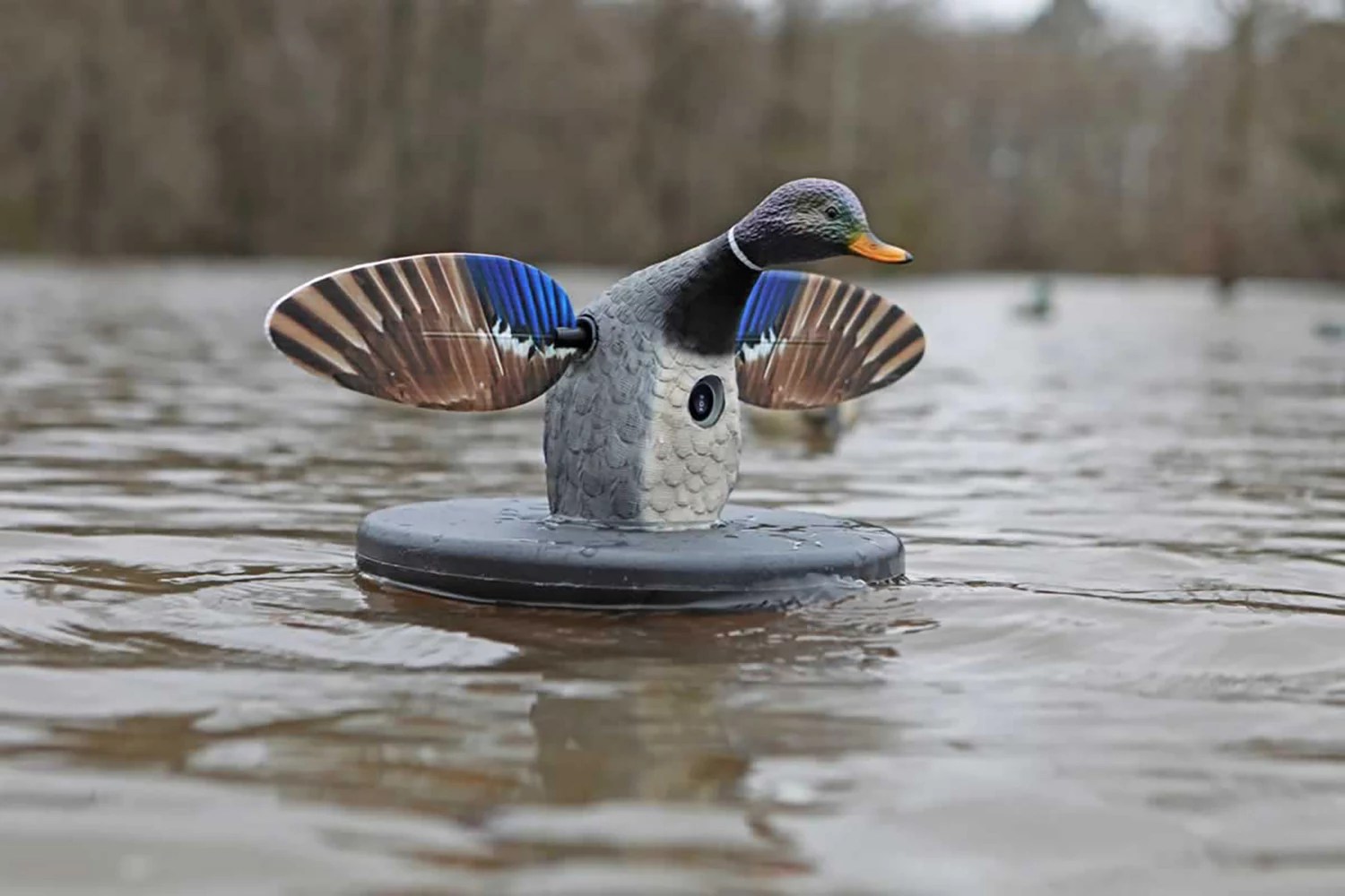 MOJO Elite Series Mallard Floater Decoy Academy