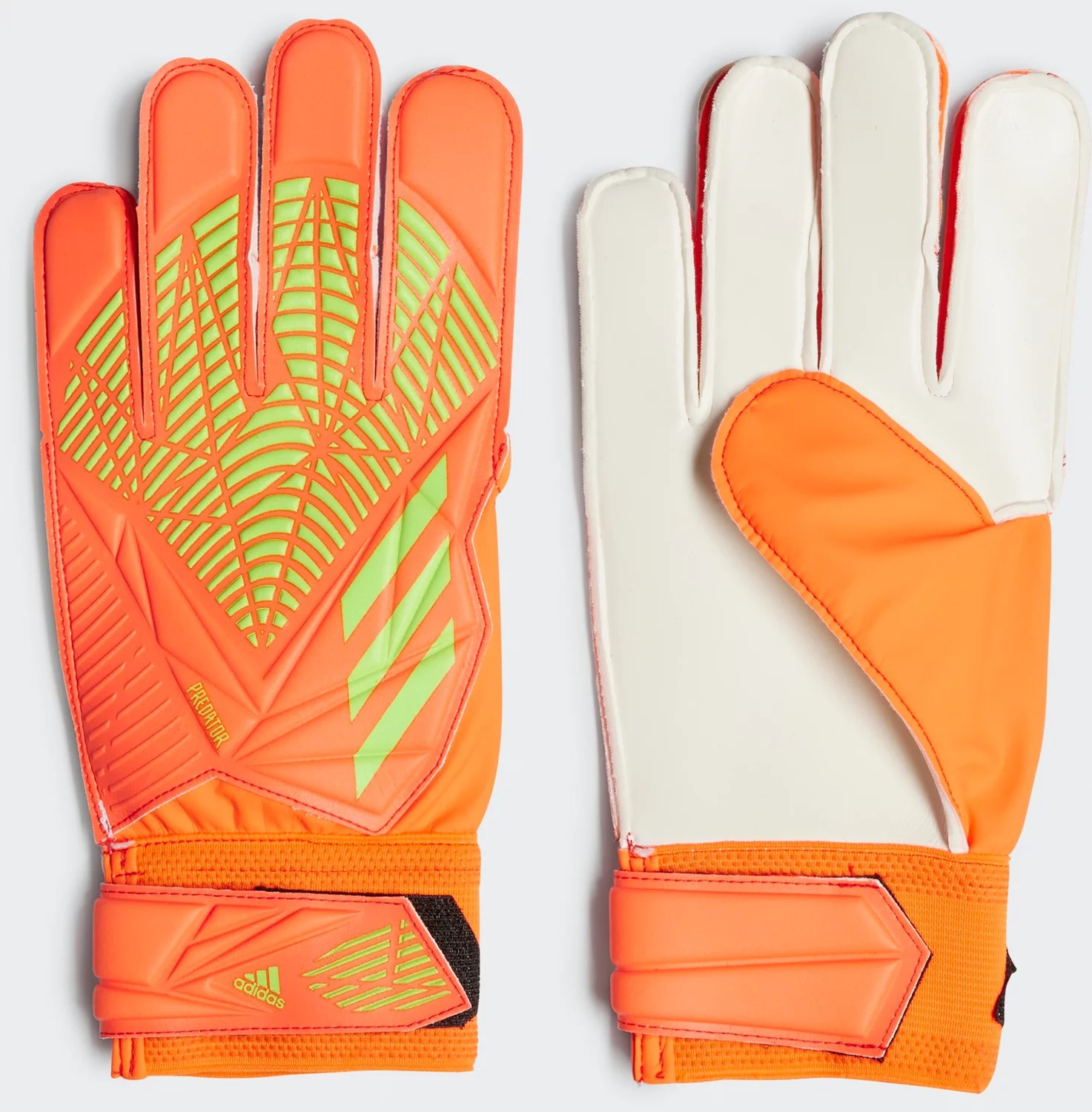 adidas Adults' Predator Training Goalie Gloves Academy