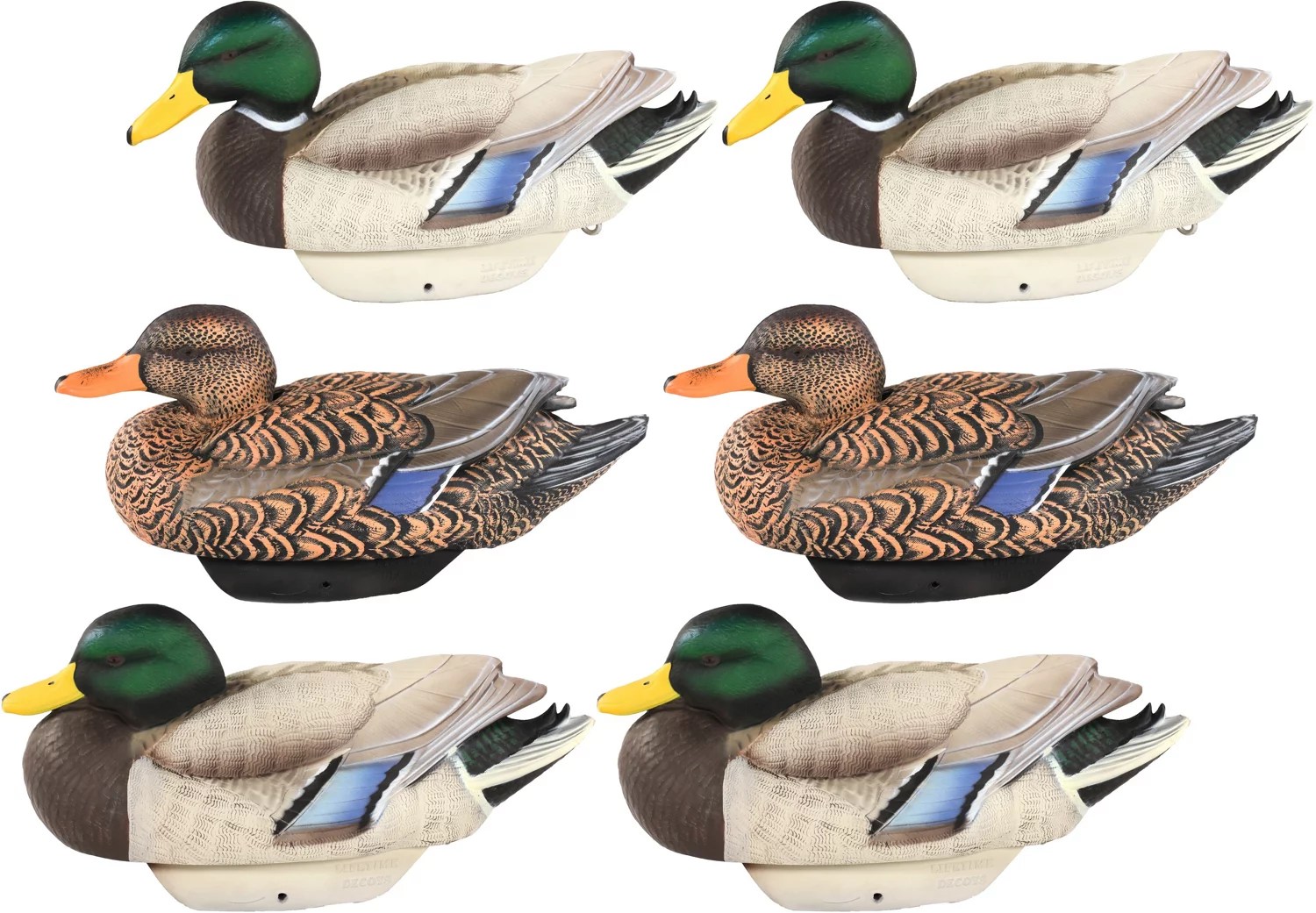 Lifetime Mallard HydroFoam Ultralight Decoy 6Pack Academy