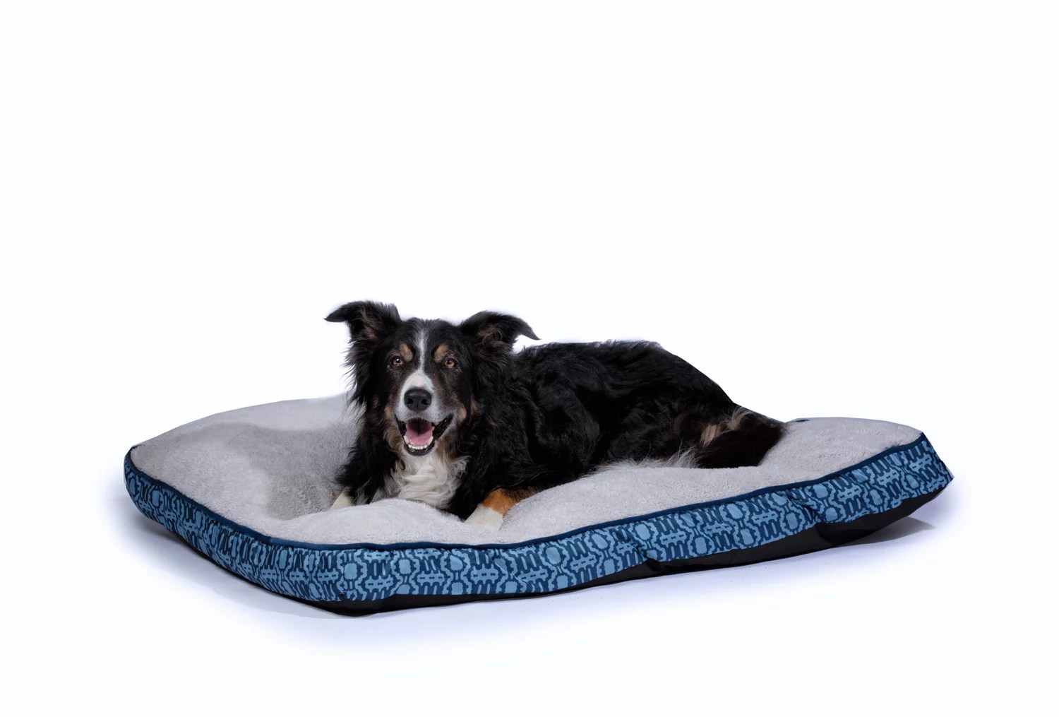 Carpenter Nancy Pet Bed Academy