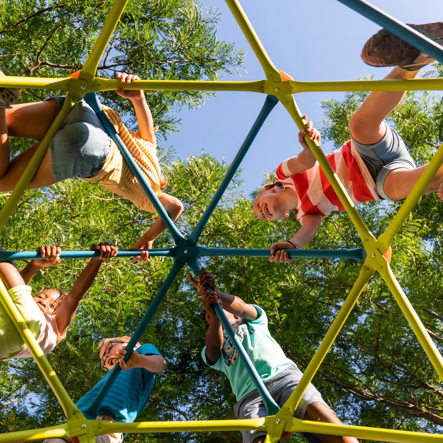 Lifetime Climbing Tower Academy