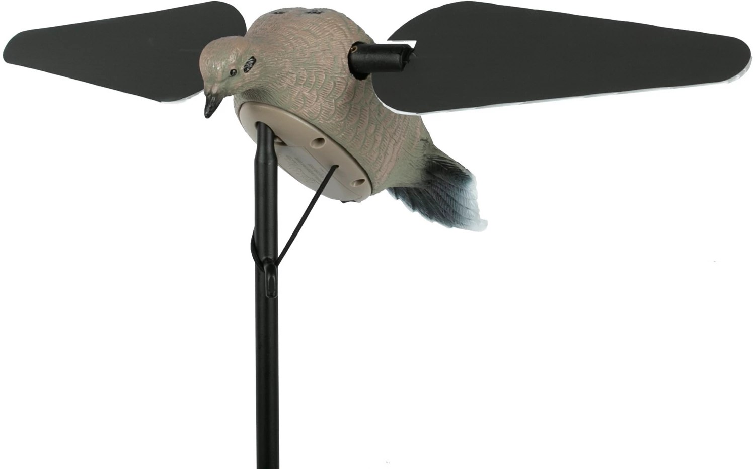 Lucky Duck HD Dove Decoy Academy