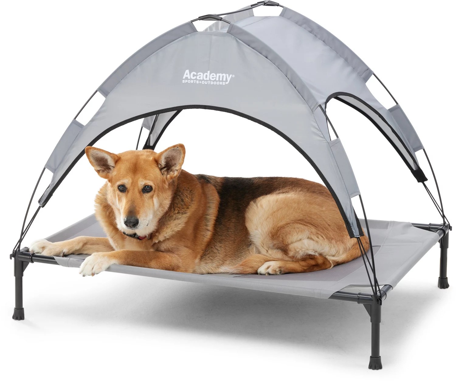 Academy Sports + Outdoors Elevated Canopy Dog Bed Academy