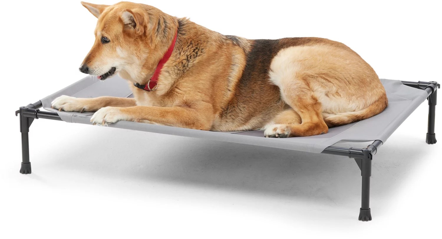 Academy Sports + Outdoors Elevated Canopy Dog Bed Academy