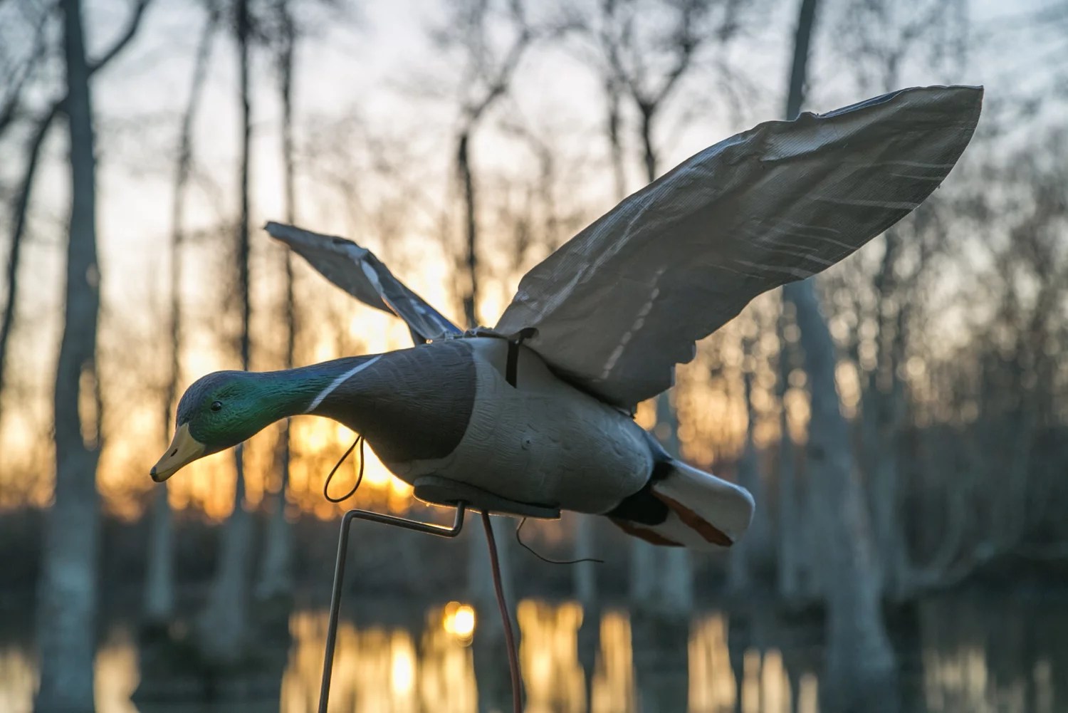 Higdon Clone Drake Mallard Decoy Academy