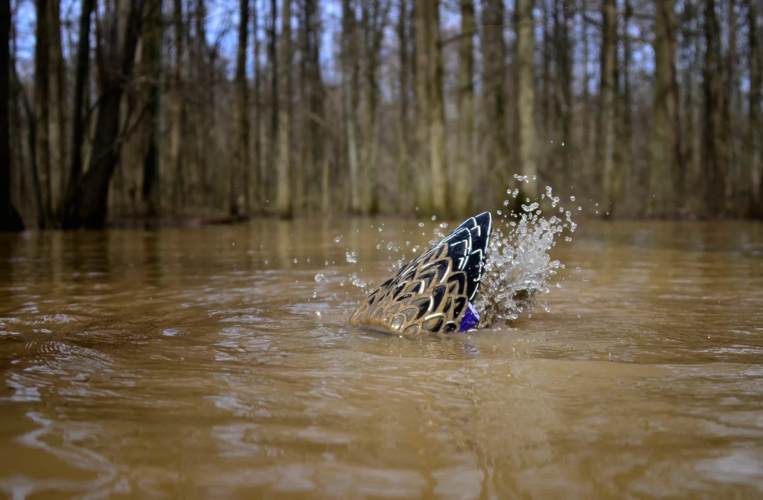 Higdon XS Pulsator Mallard Hen Duck 12Volt Decoy Academy