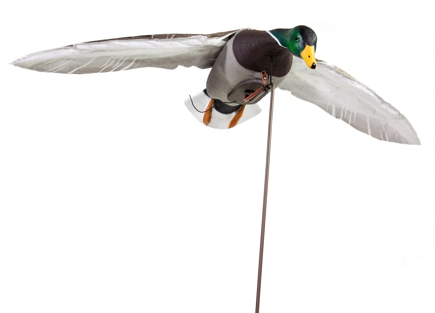 Higdon Clone Drake Mallard Decoy Academy