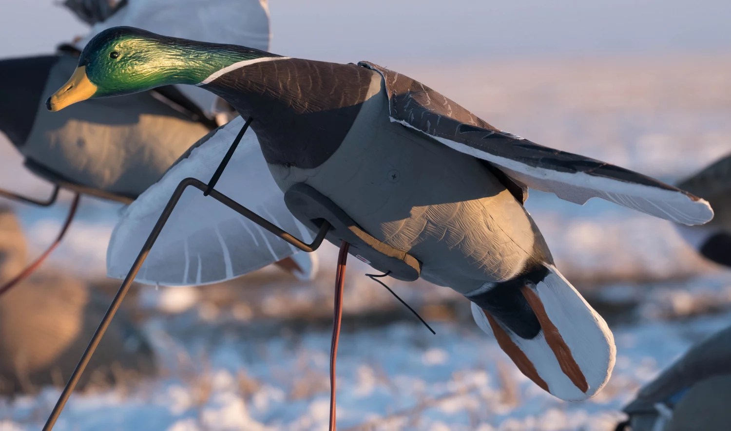 Higdon Clone Drake Mallard Decoy Academy