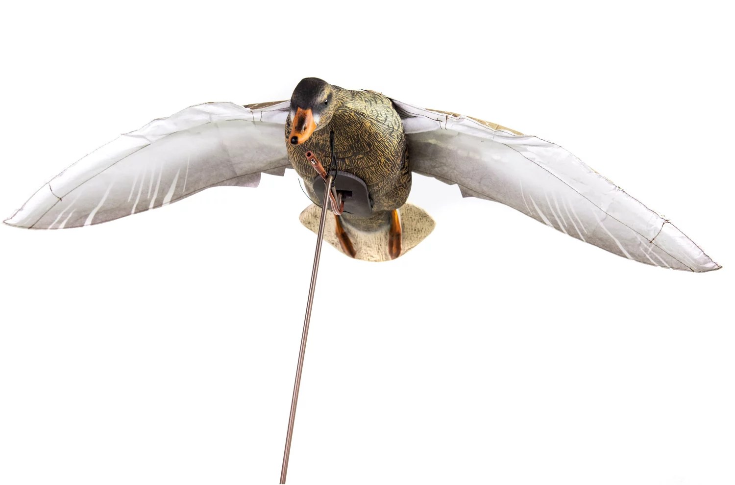 Higdon Clone Mallard Hen Decoy Academy