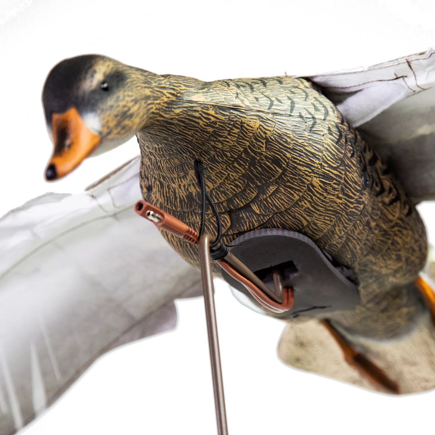 Higdon Clone Mallard Hen Decoy Academy