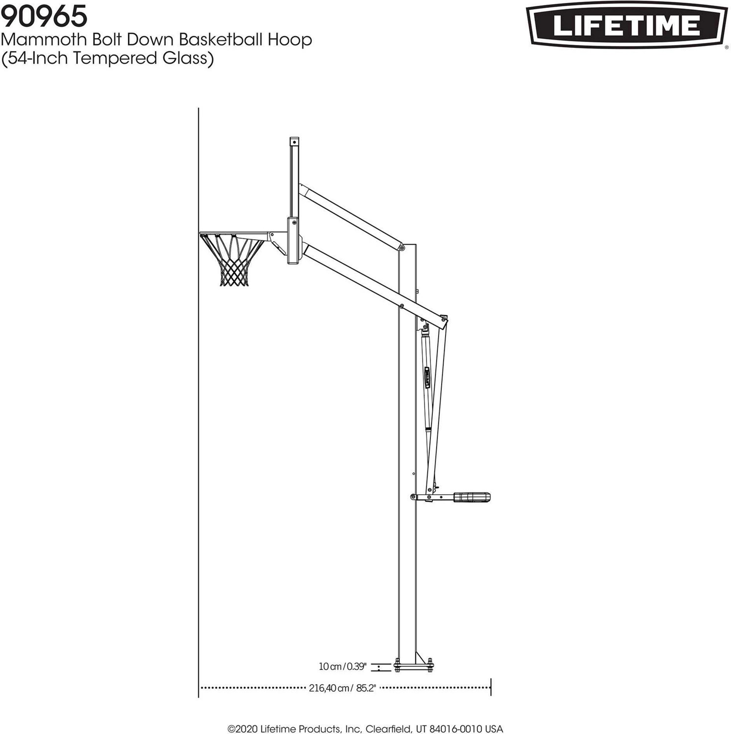 Lifetime Mammoth Bolt Down Basketball Hoop Academy