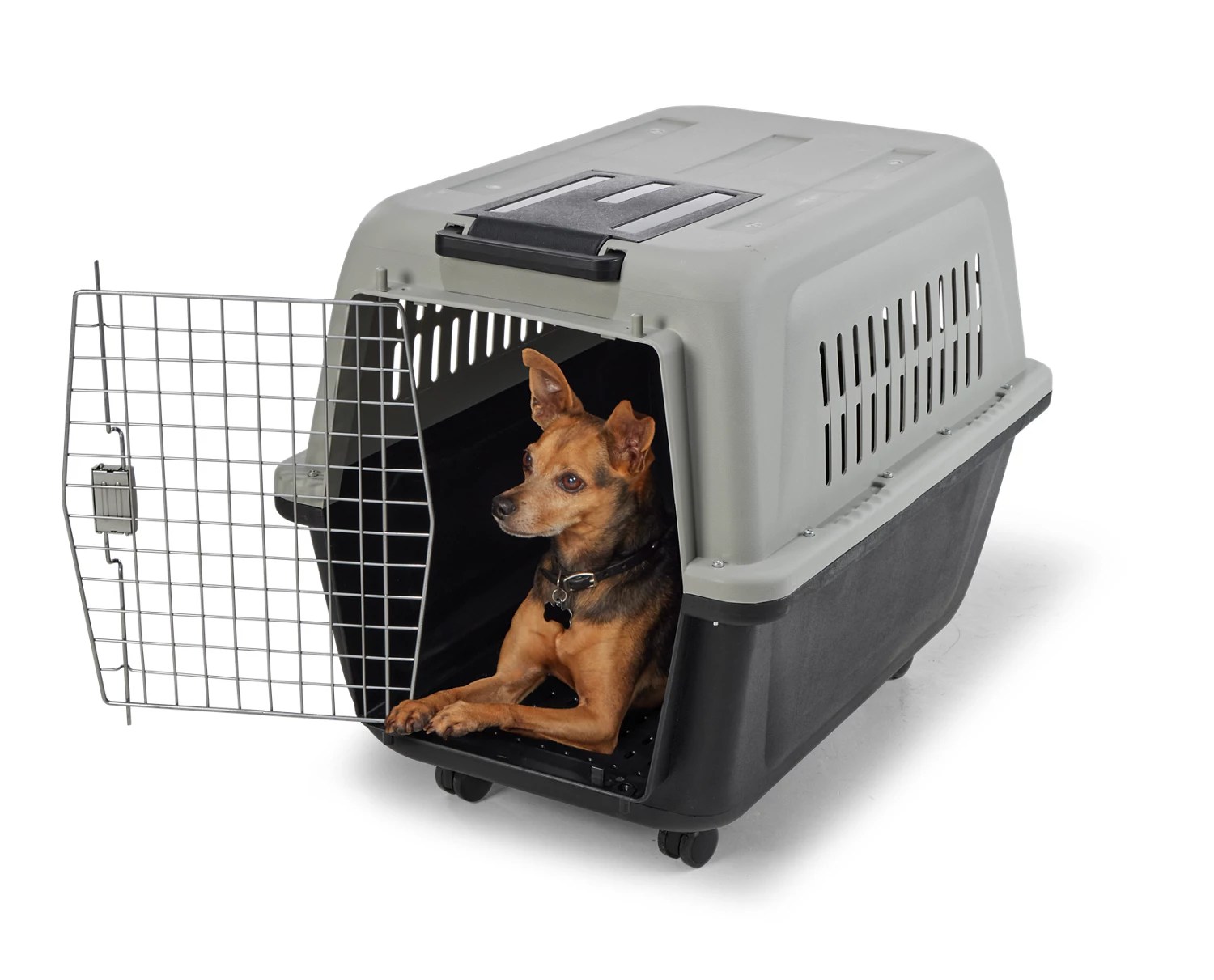 Academy Sports + Outdoors Wheeled Portable Medium Kennel Academy