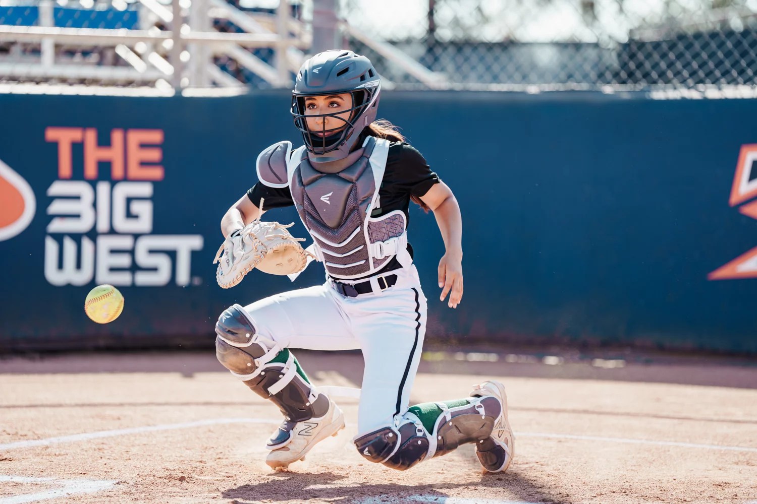 EASTON Jen Schro The Very Best FastPitch Catcher's Leg Guards Academy