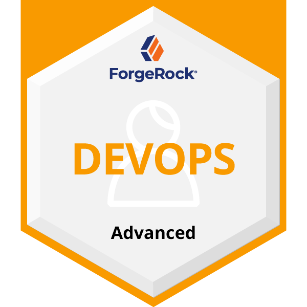 Configuring the Identity Platform™ in a DevOps Environment