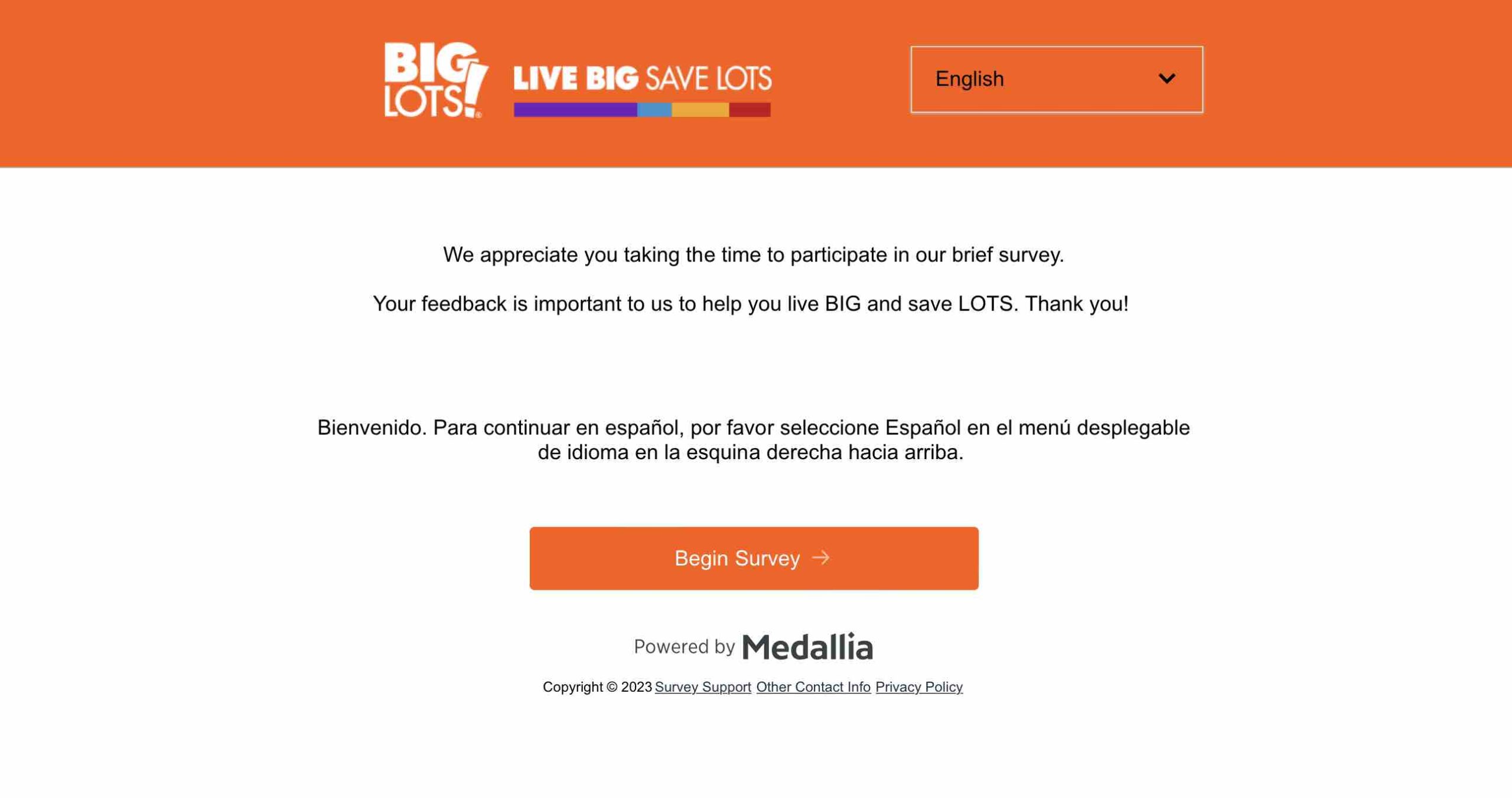 Win Gift Card Big Lots Survey(04)
