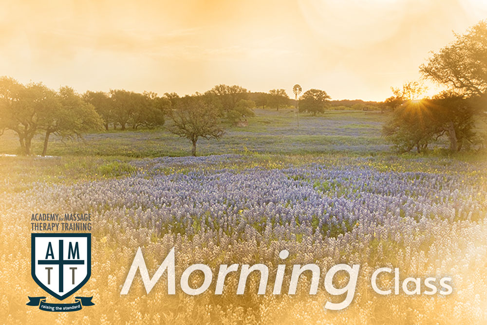 Clase de la mañana Campus Park North Escuela de Terapia de Masaje