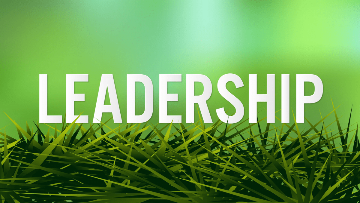 Leadership Skills Training Courses for Working Professionals