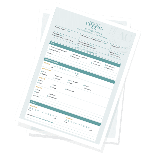 3 Occasions to Throw a Cheese Tasting Party Academy Of Cheese