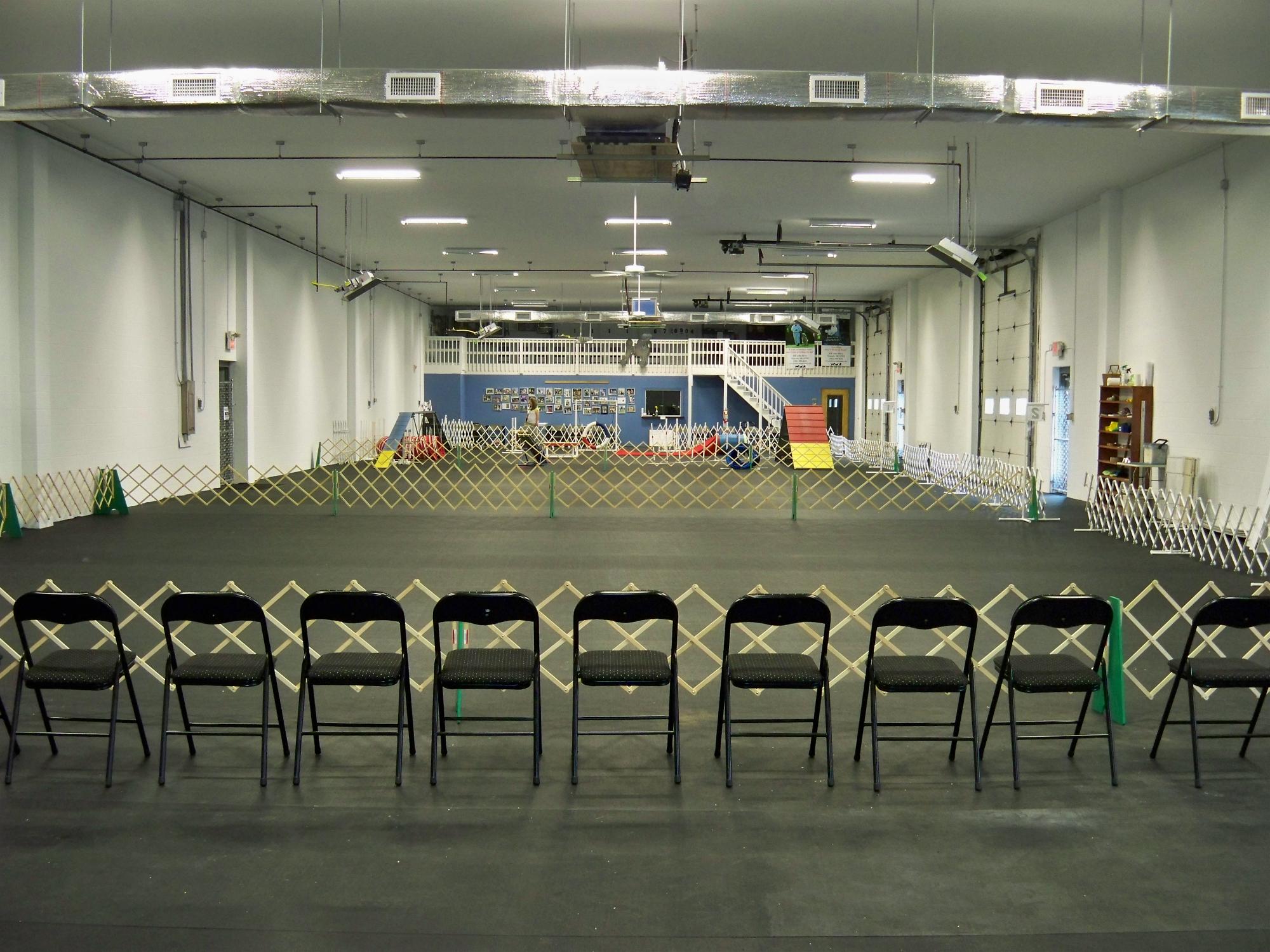 Our Club at the Academy of Dog Training and Agility / Swimming Paws