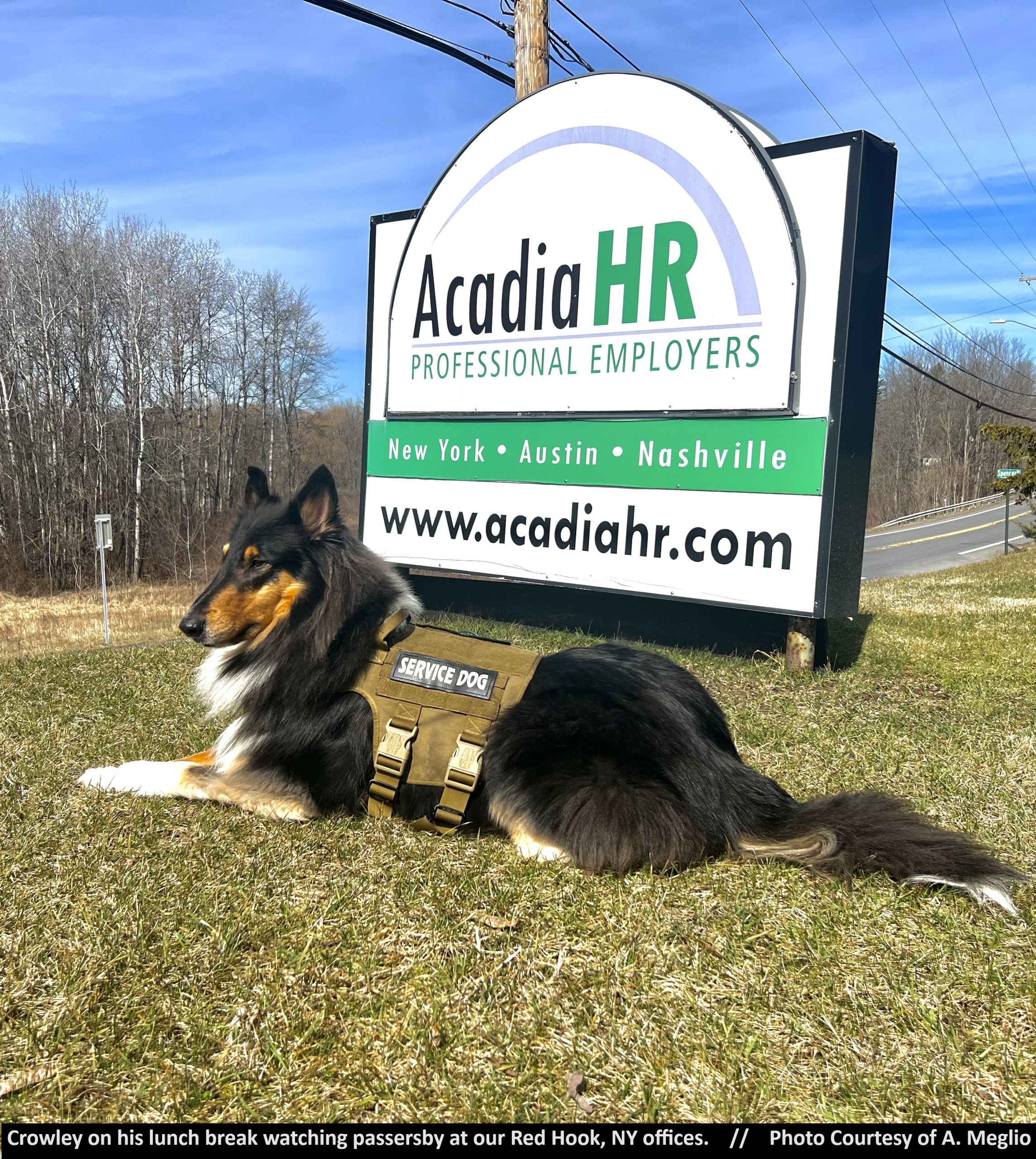Service Dogs at Work Acadia HR