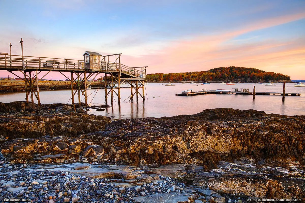 Bar Island seen from Bar Harbor Shore Path