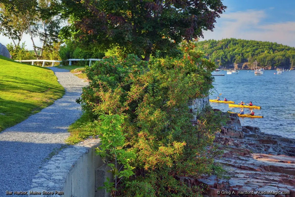 Bar Harbor Shore with Kayaks near Shoreline