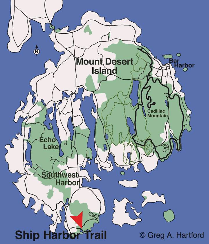 Ship Harbor Nature Trail, Acadia National Park