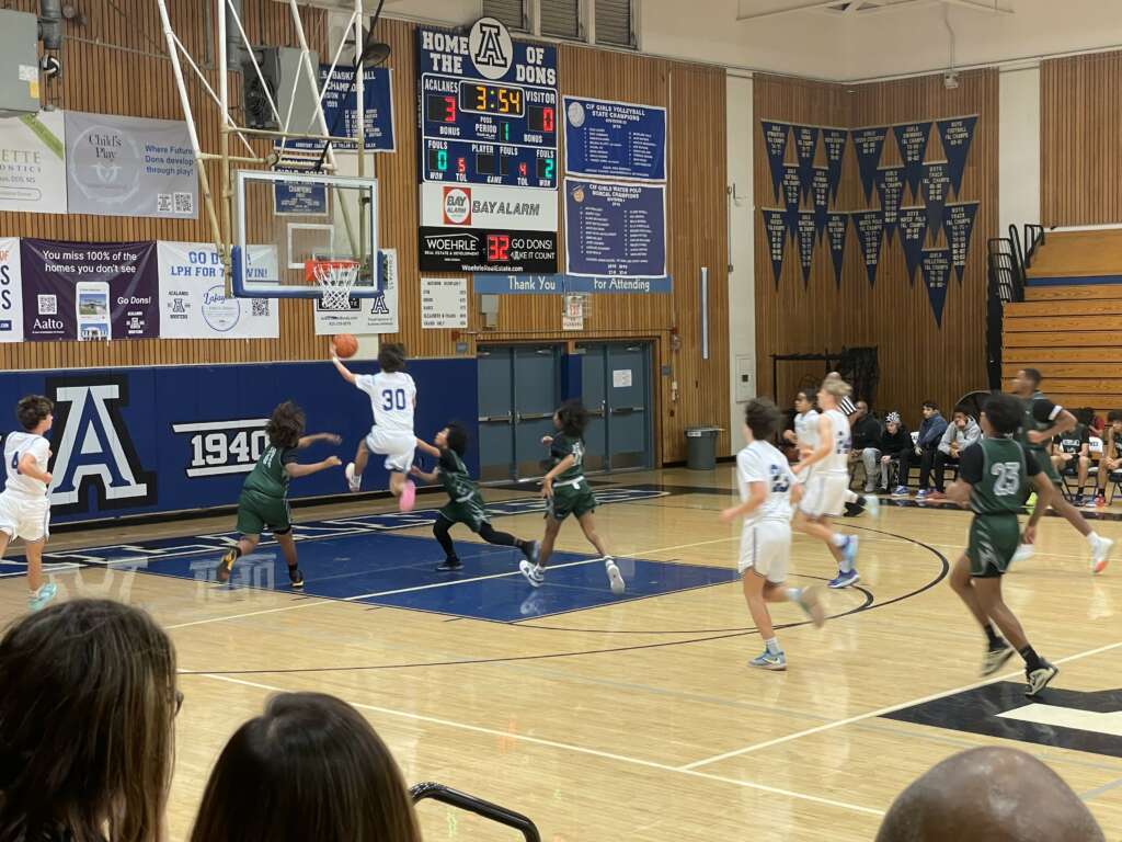 JV Boys Basketball corral the Rodriguez Mustangs 6642 Acalanes Boosters