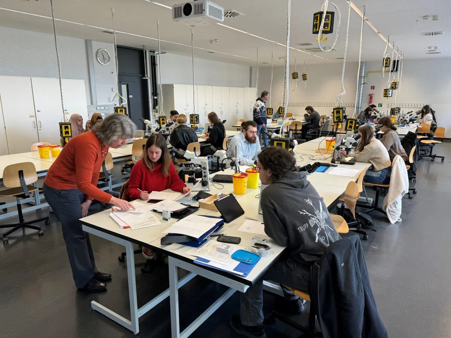 Goethe Universität Frankfurt „Master of Science Biodiversity