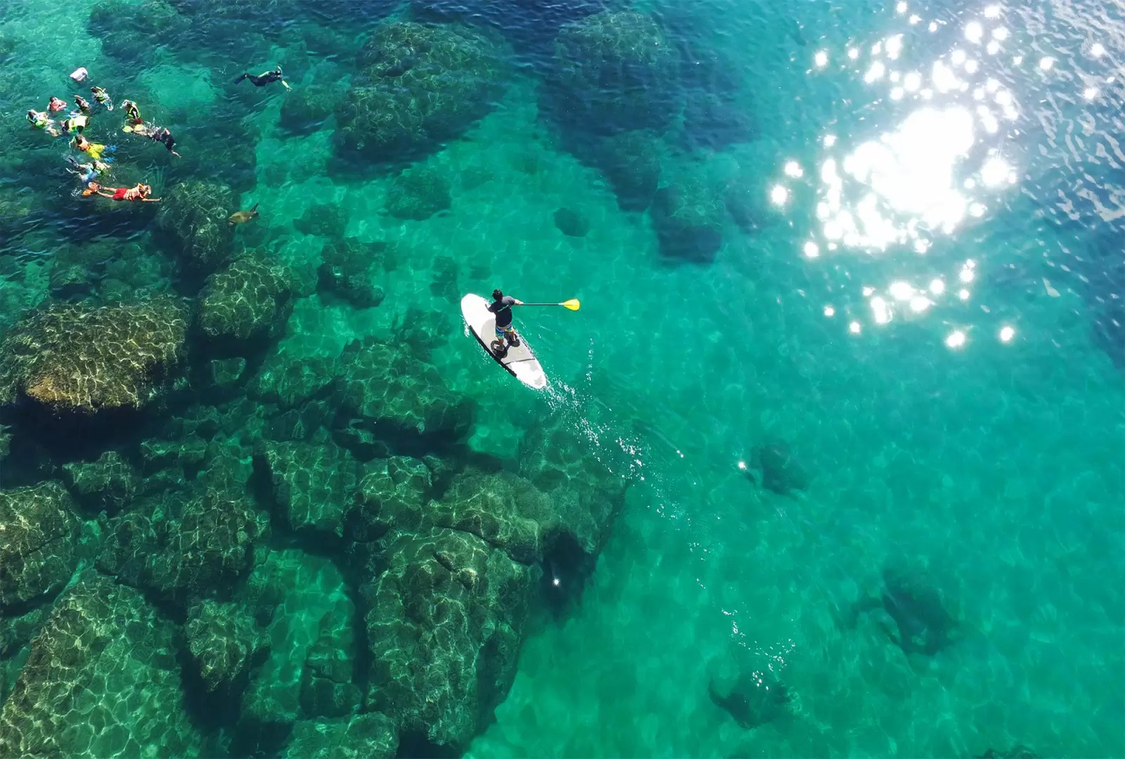 Stand Up Paddleboarding Acapulco ☀️2024