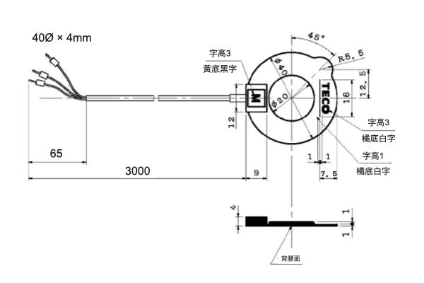 TS-300 - 環偲捷驥