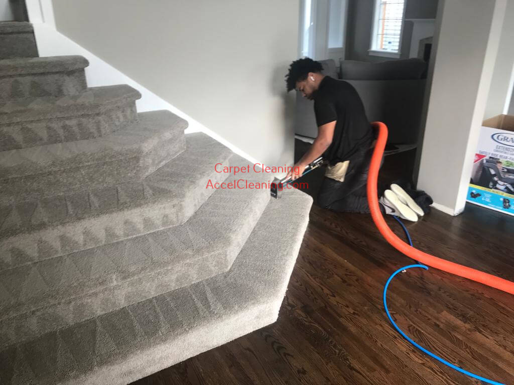 Carpet Cleaning Renton, WA (206) 9471928 500+5* Reviews