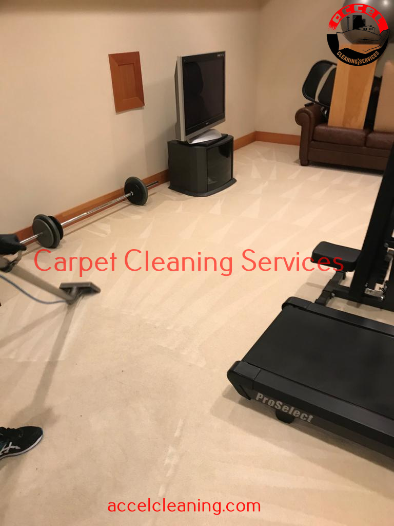 Carpet Cleaning Burien WA (206) 9471928 500+ 5* Reviews