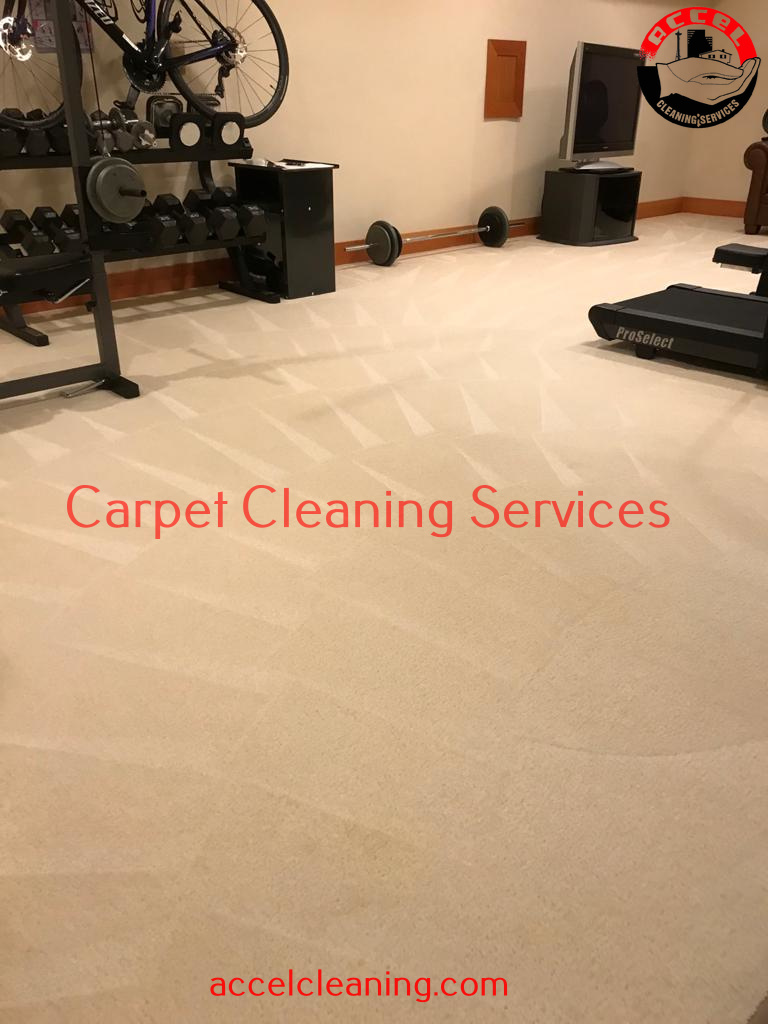 Carpet Cleaning Burien WA (206) 9471928 500+ 5* Reviews