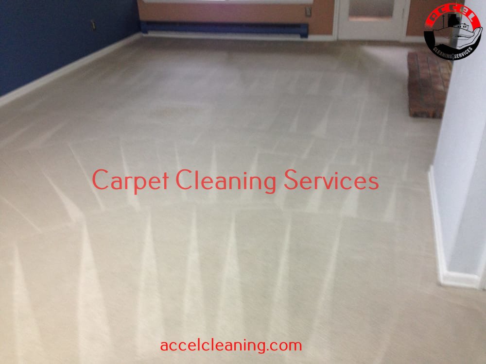 Carpet Cleaning Kirkland WA (206) 9471928 500+ 5* Reviews