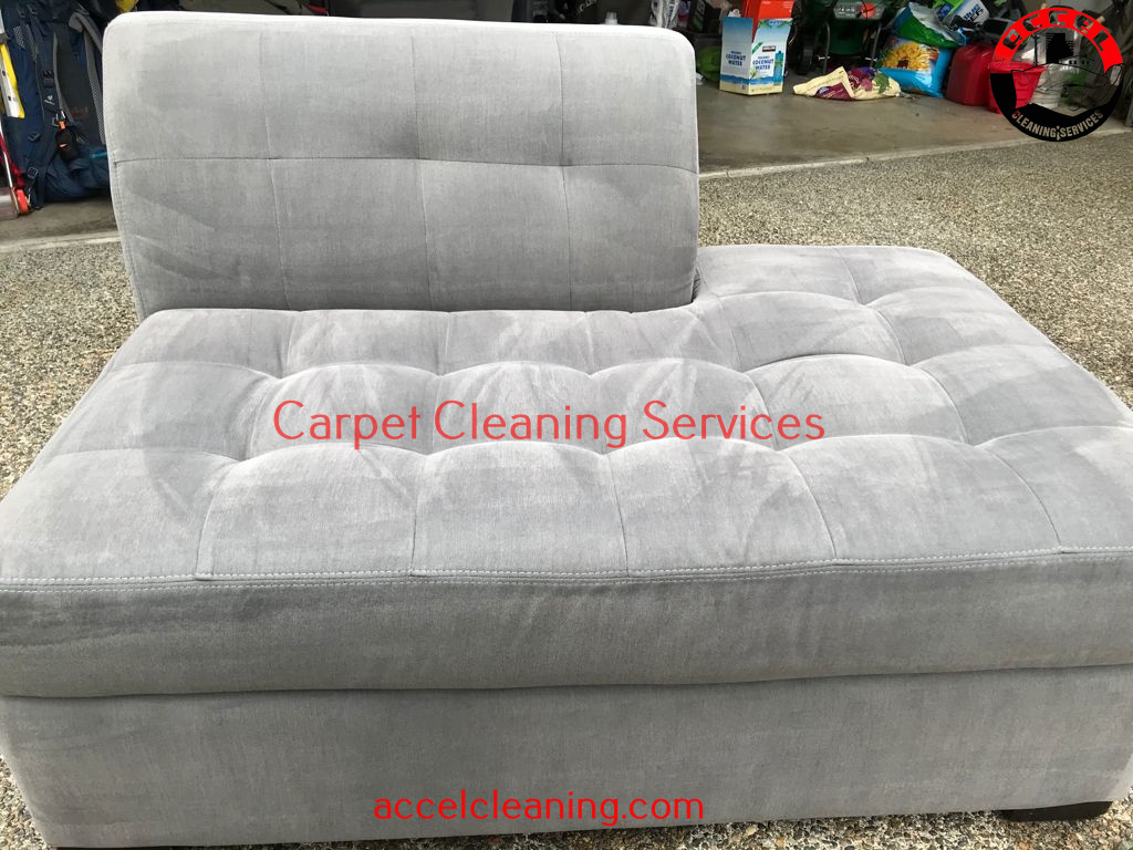 Carpet Cleaning Burien WA (206) 9471928 500+ 5* Reviews