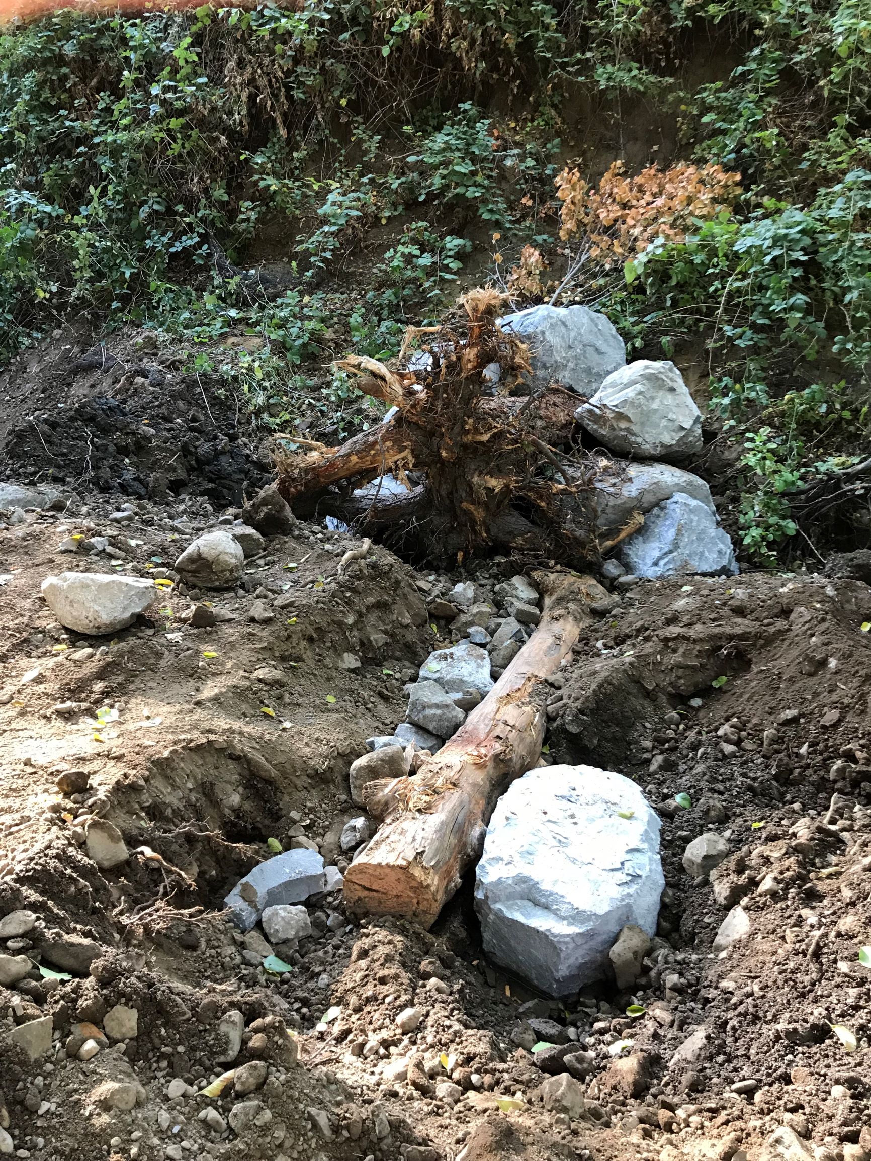 San Geronimo Creek Habitat Enhancement Project Accelerating Restoration
