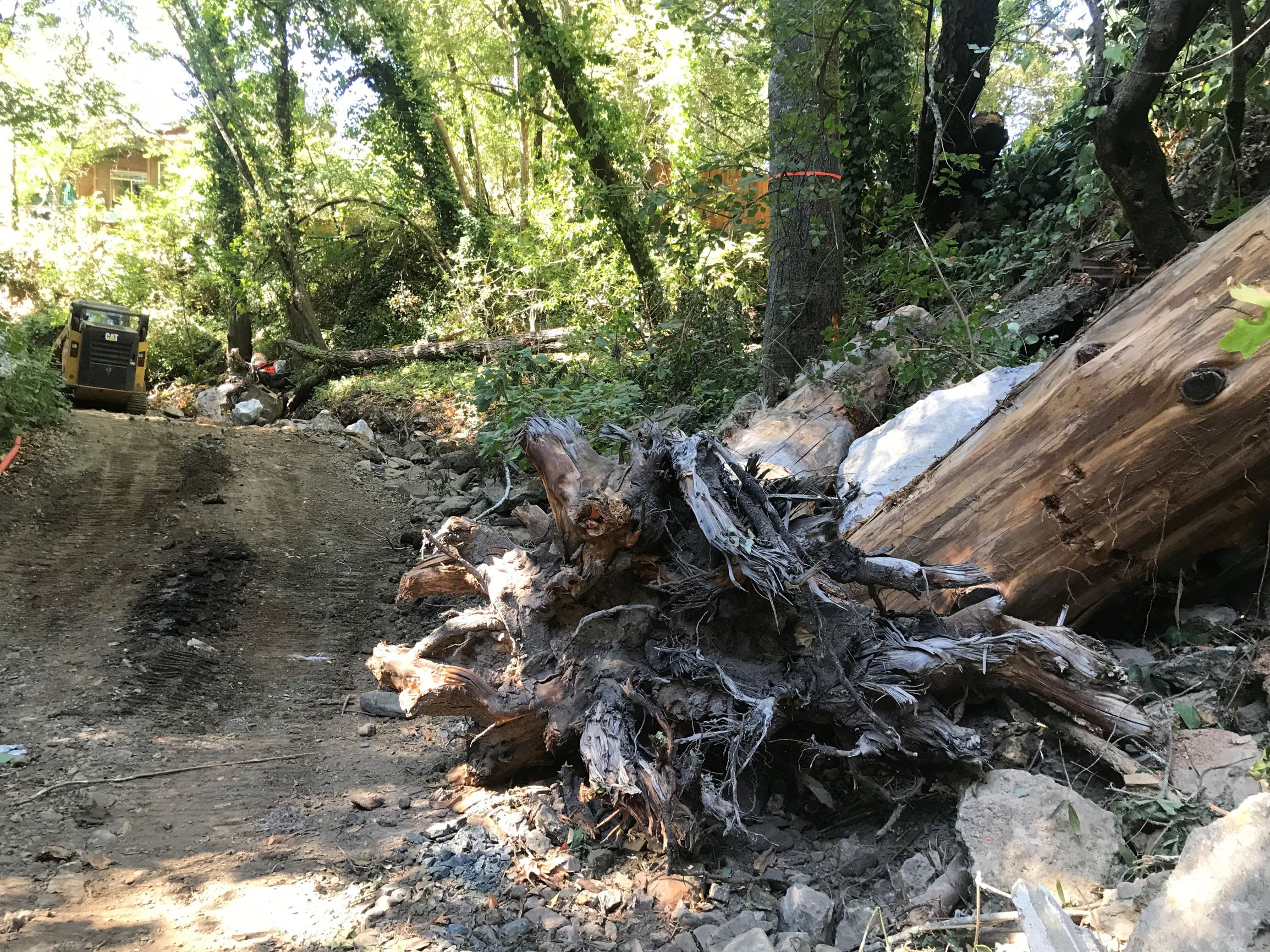 San Geronimo Creek Habitat Enhancement Project Accelerating Restoration
