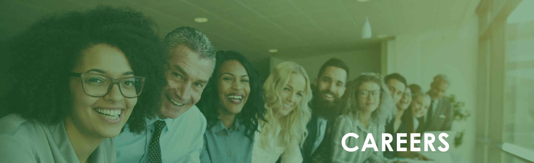 Accel Solutions Careers